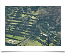 Valley Terracing - Rob Sparkes